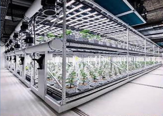 カスタム エアロポニクス 植物の水栽培システム